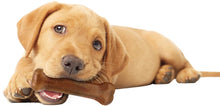 Load image into Gallery viewer, Nylabone Puppy Chew Starter Kit
