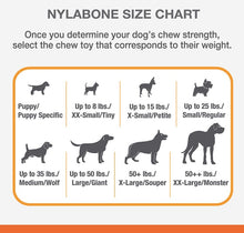 Load image into Gallery viewer, Nylabone Puppy Chew Starter Kit
