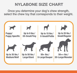 Nylabone Puppy Chew Starter Kit