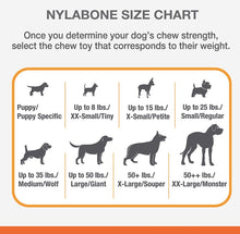 Load image into Gallery viewer, Nylabone Dura Chew Bone Bacon Flavor Regular
