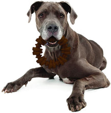 Load image into Gallery viewer, Nylabone Dura Chew Textured Ring Flavor Medley
