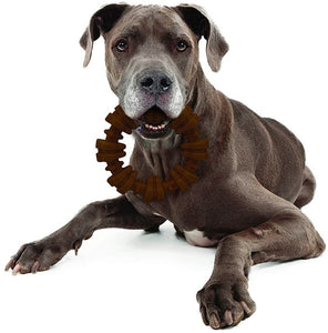 Nylabone Dura Chew Textured Ring Flavor Medley