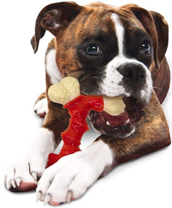 Nylabone Dura Chew Double Bone Bacon Flavor