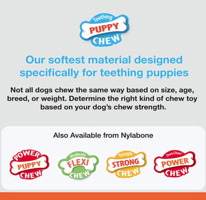 Nylabone Puppy Chew Dental Bone Blue