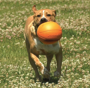 Nylabone Power Play B-Ball Grips Basketball Medium 4.5 Dog Toy