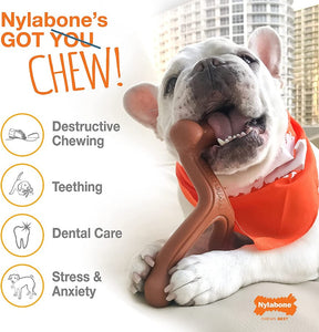 Nylabone Power Chew Arch Bone Dental Toy Beef Flavor