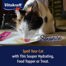 Load image into Gallery viewer, Vitakraft Salmon Souprise Lickable Cat Snack
