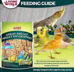 Living World Spray Millet for Birds