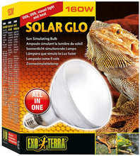 Load image into Gallery viewer, Exo Terra Solar Glo Mercury Vapor Lamp
