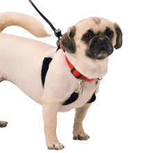 Load image into Gallery viewer, Sporn Original Training Halter for Dogs Red
