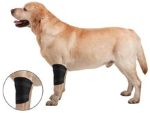 Load image into Gallery viewer, ZenPet Elbow Protector Ortho Wrap
