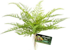 Zoo Med Naturalistic Flora Lace Fern