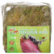 Load image into Gallery viewer, Zoo Med All Natural Terrarium Moss
