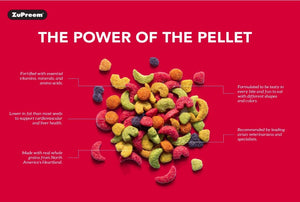 ZuPreem Smart Selects Bird Food for Parrots and Conures