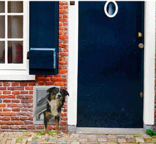 Load image into Gallery viewer, Ideal Pet Products Ruff Weather All Climate Pet Door
