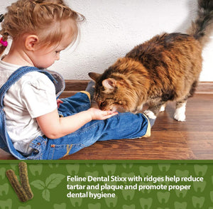 Emerald Pet Feline Dental Stixx Catnip and Pumpkin Recipe