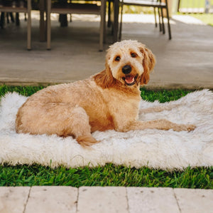 Paw PupRug Portable Orthopedic Dog Bed White with Brown Accents